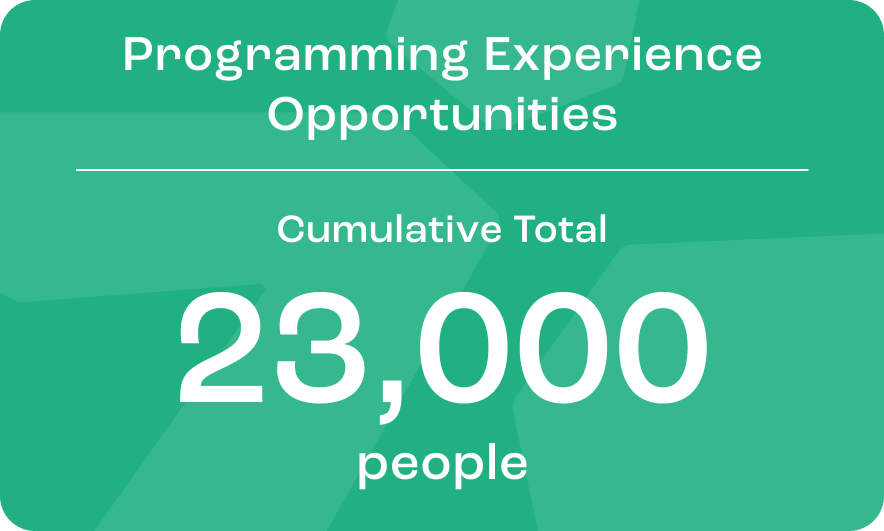 Initiatives to Support Programming Education in Elementary Schools