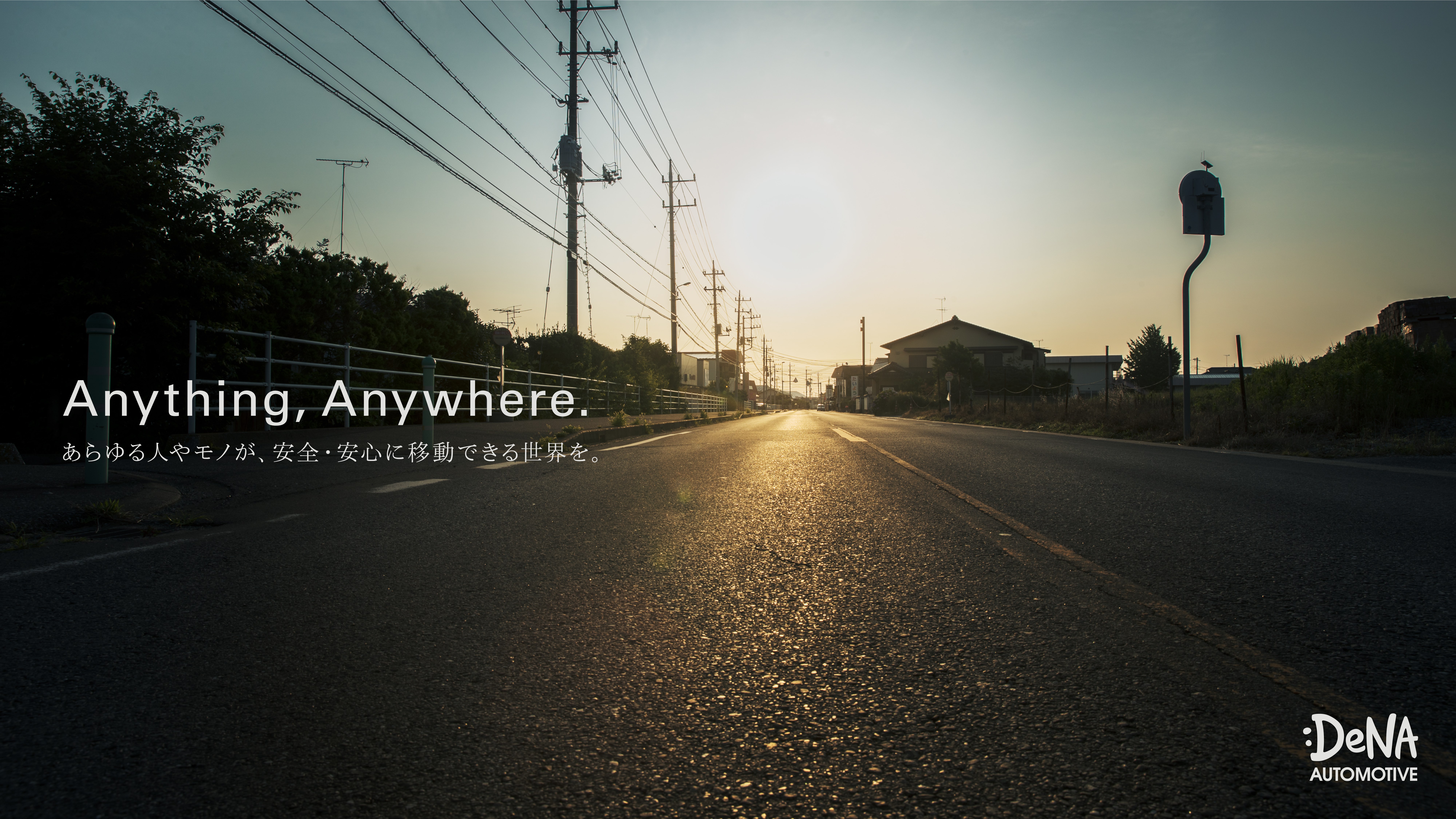 dena_auto_key-05_1 (1).jpg